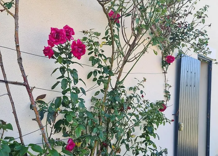 La Dorgisière - Ferme Du Xviie Rénovée, Grand Jardin Arboré à 15 Min Du Puy Dufou Сasa de vacaciones Saint-Amand-sur-Sevre